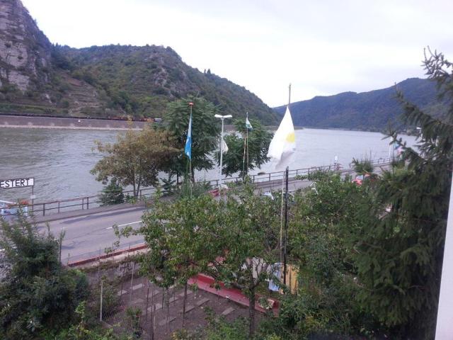 Kestert